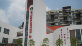  廣州市增城區荔湖城幼兒園