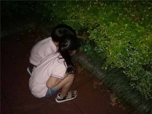 QQ圖片20170617105531.jpg