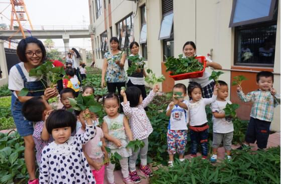 中山市東鳳中大外語幼兒園