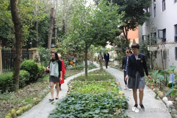 香港柏基IB國(guó)際幼稚園蒞臨成都師大龍城實(shí)驗(yàn)幼兒園指導(dǎo)交流